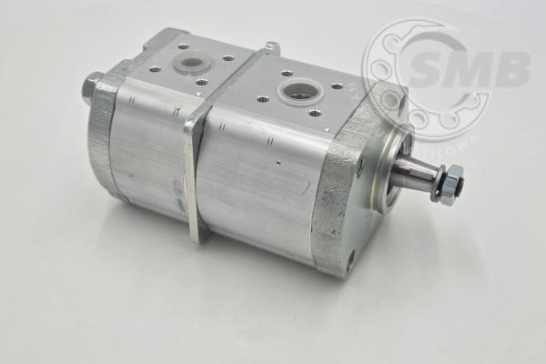 WPA09A2 - AZPFF-12-016/005RCP2020KB-S0007 0510665189 POMPA ZĘBATA CKD 2.0. 5090661571 1803620