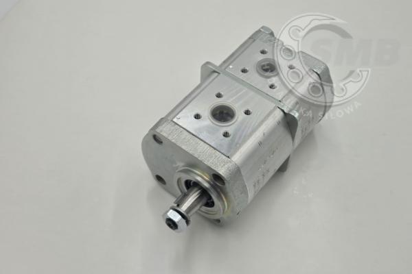WPA09A2 - AZPFF-12-016/005RCP2020KB-S0007 0510665189 POMPA ZĘBATA CKD 2.0. 5090661571 1803620